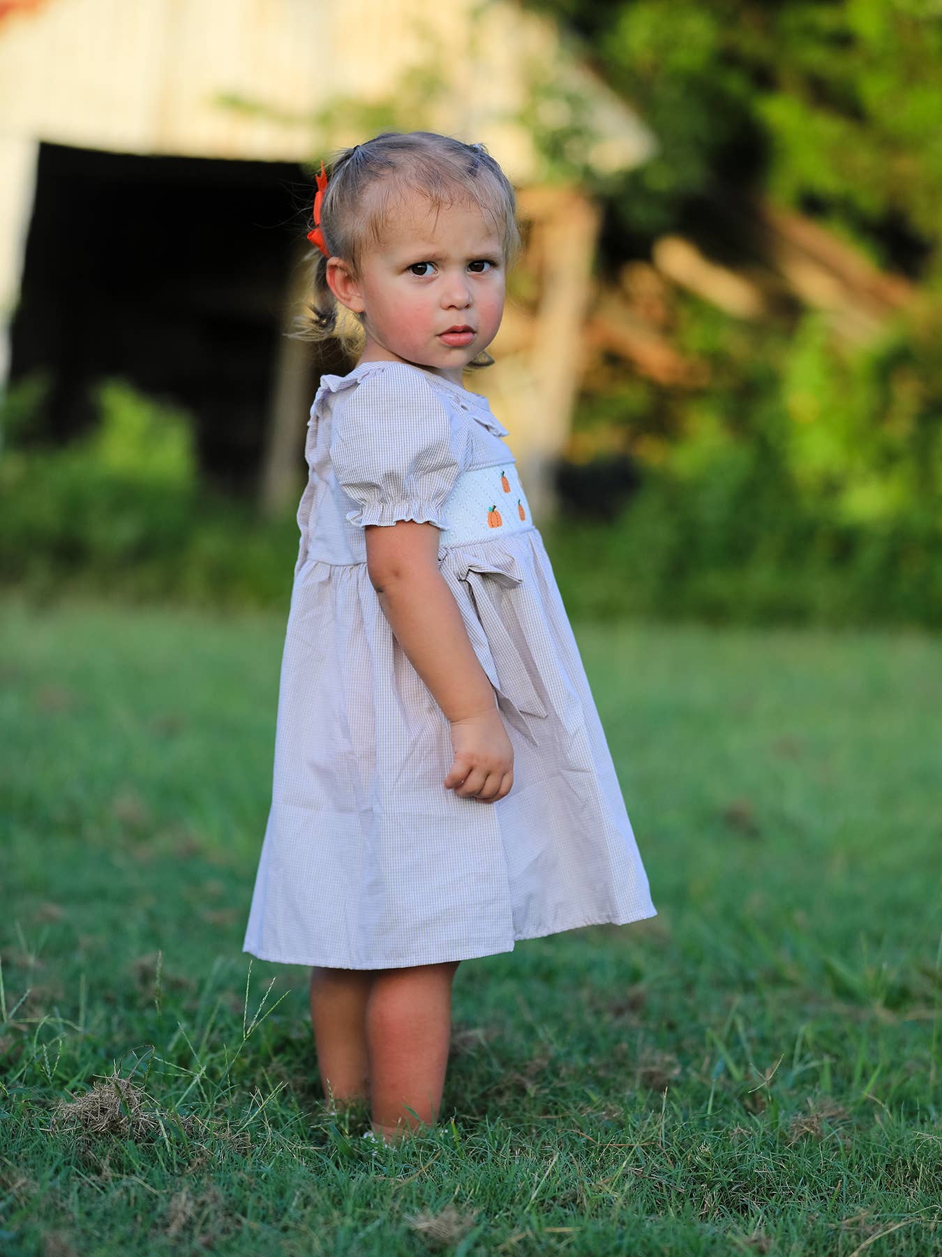 Halloween & Thanksgiving Pumpkin Embroidery Smock Plaid Girls Dress