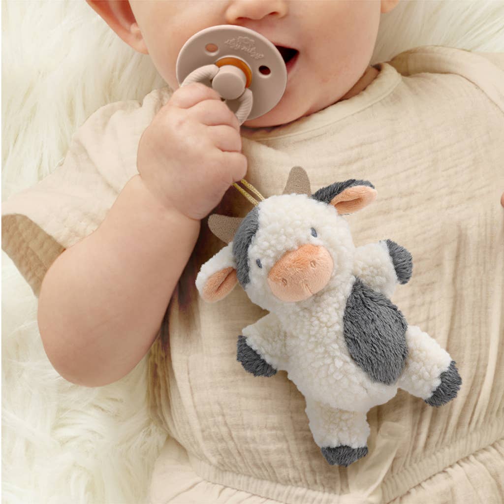 Natural Rubber Pacifier & Plush