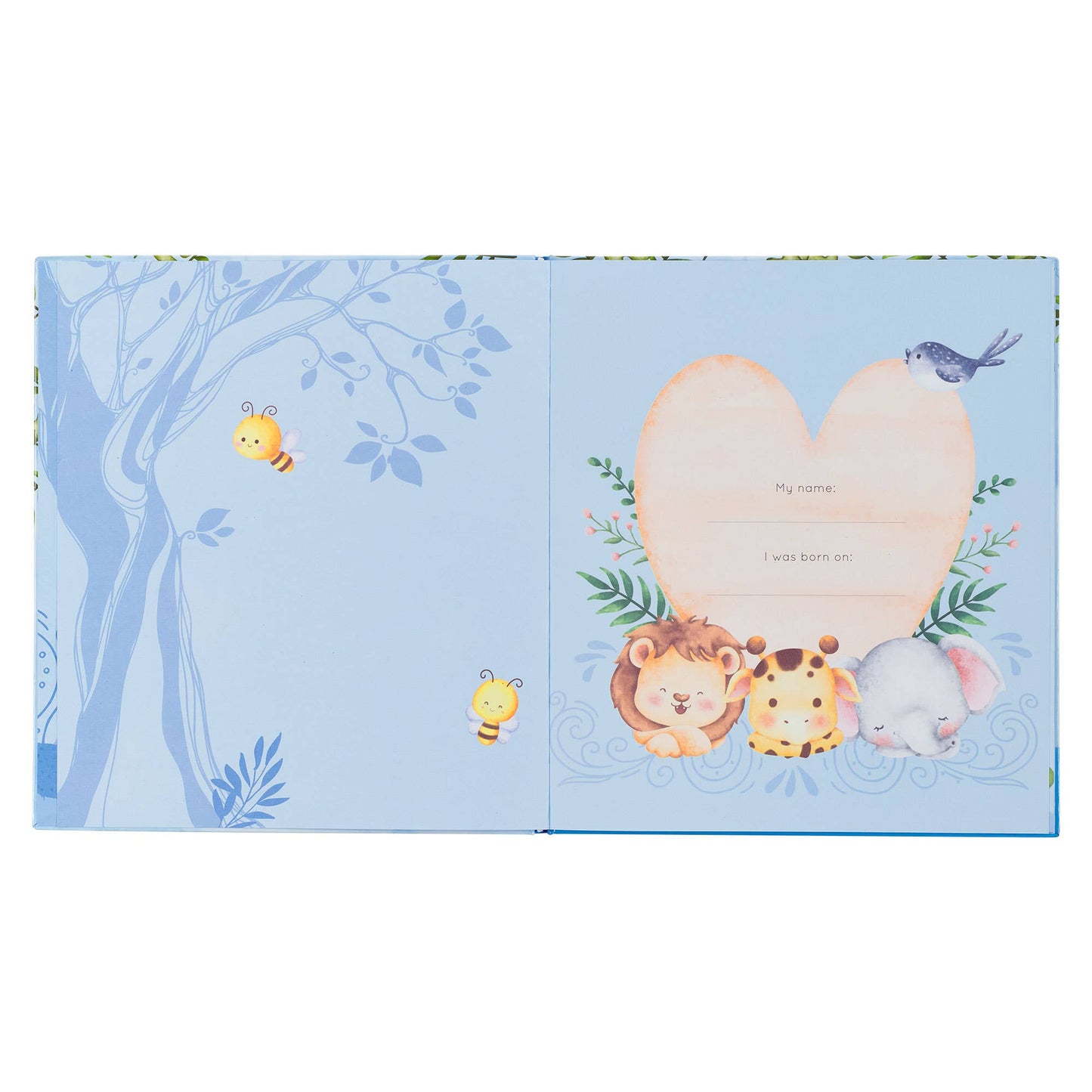 Baby Memory Book for Boys