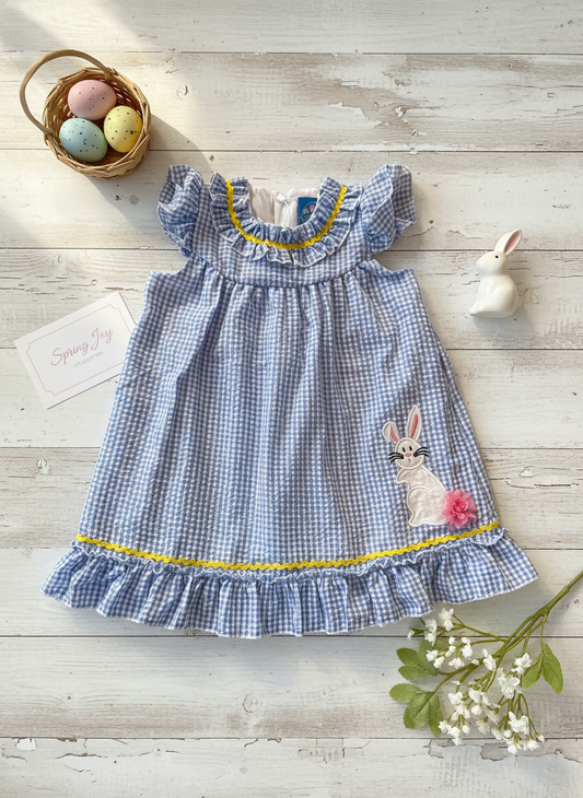 Blue gingham bunny dress