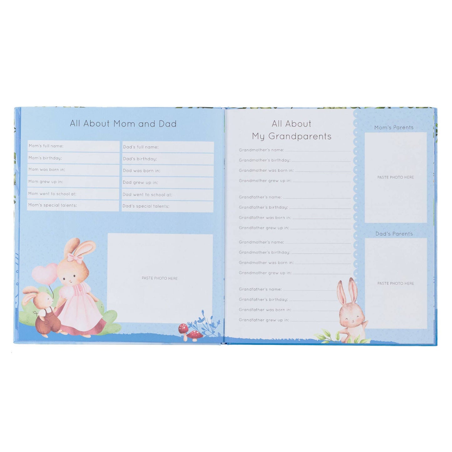 Baby Memory Book for Boys